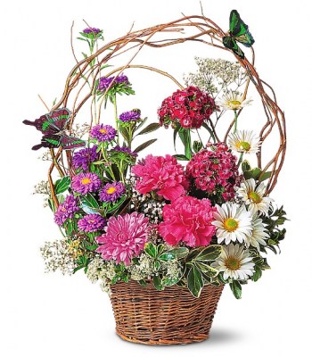 butterfly-basket-flowers