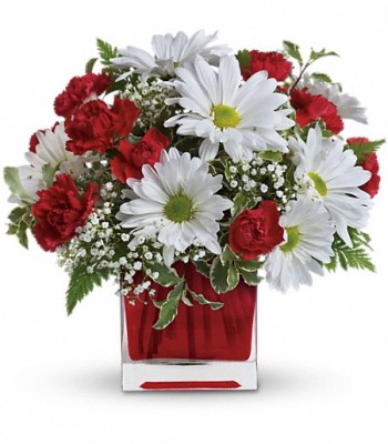 red-and-white-delight-valentines-flowers5