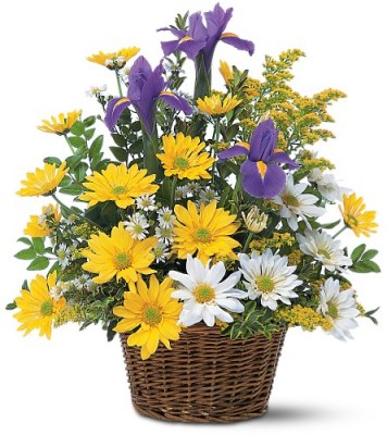 smiling-floral-basket-flowers97